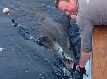 Endless Summer Sportfishing release.